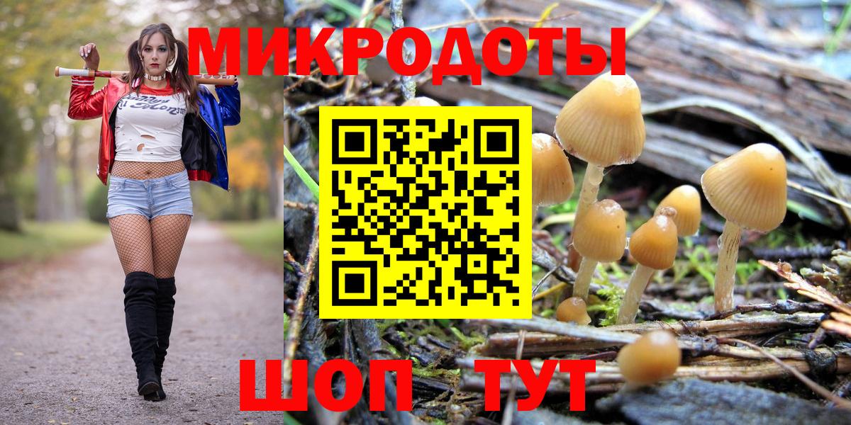 Псилоцибиновые грибы Psilocybine cubensis  Вход с VPN  Борисоглебск 